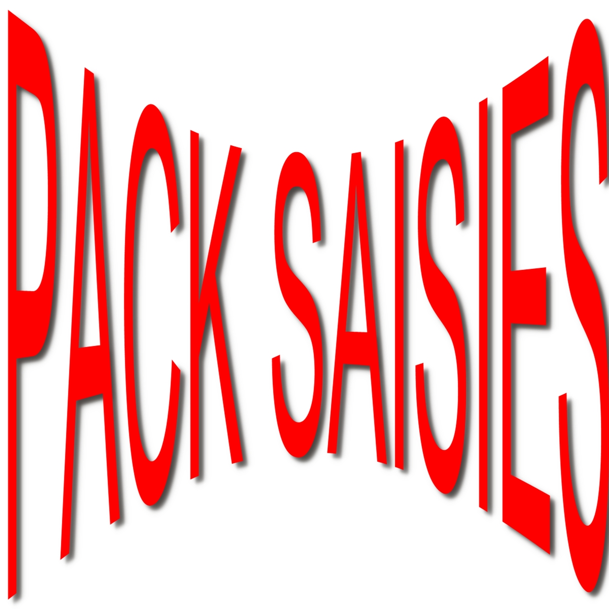 pack saisies